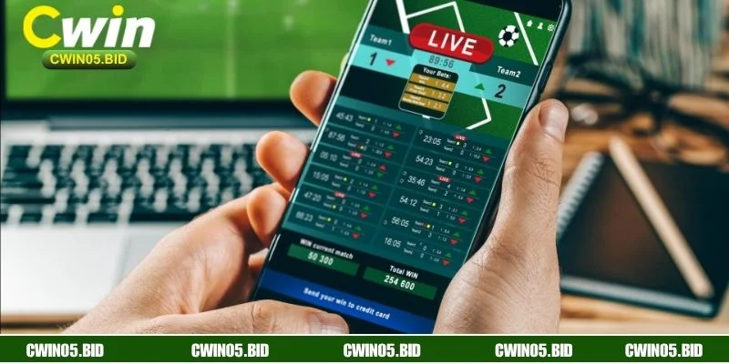 Giải đáp thắc mắc thường gặp khi đăng nhập CWIN thất bại